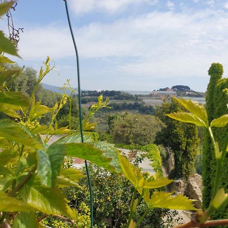 Casa Di Ingrida Bussana Vecchia Villa Sanremo Exterior foto