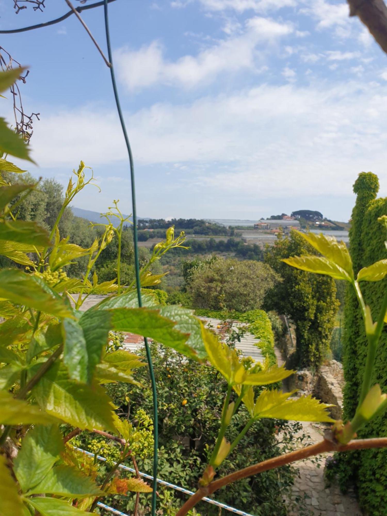 Casa Di Ingrida Bussana Vecchia Villa Sanremo Exterior foto