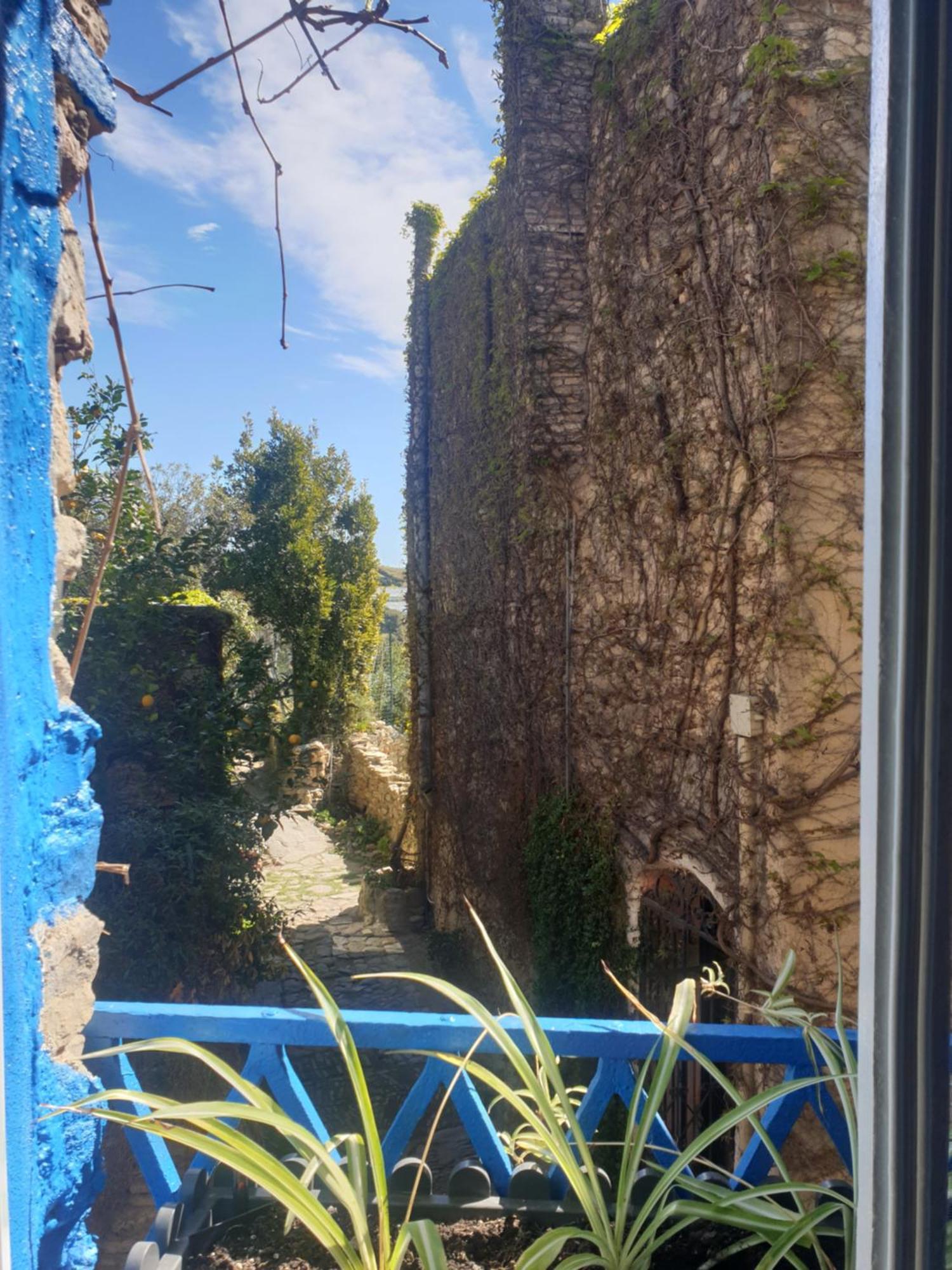 Casa Di Ingrida Bussana Vecchia Villa Sanremo Exterior foto